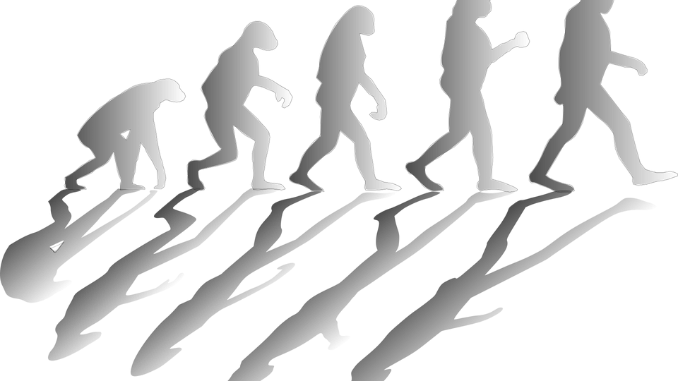 evolution-1295256_960_720