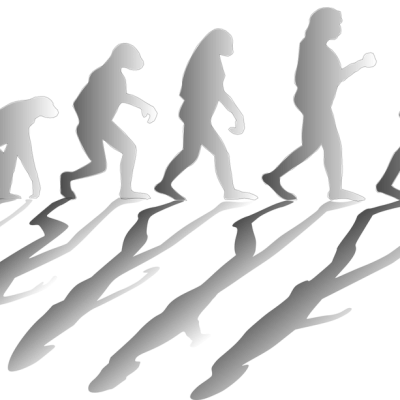 evolution-1295256_960_720